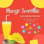 Heera Ayurvedic Research Foundation Mango Smoothie | Mango Smoothie mix | 300gms | 8 servings - Fast Shipping to USA - Image 6