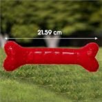 Drools Non-Toxic Rubber Toy for Dogs (Large) 21.59 cm Pack - Fast UK Delivery - Image 4