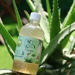 Basic Ayurveda Aloe vera vinegar 500 ml - Fast UK Delivery - Image 6
