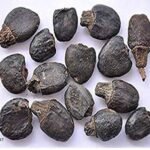Divesh Store Bhilawa Seed - 100Grm - Semecarpus Anacardium Seed - Marking Nut Seed - Bile Semecarpus Anacardium Linn Seed - Fast UK Delivery