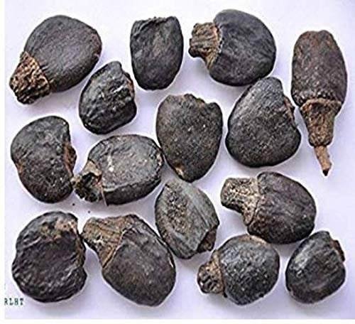 uk5196SgyFOL-1.jpg Divesh Store Bhilawa Seed - 100Grm - Semecarpus Anacardium Seed - Marking Nut Seed - Bile Semecarpus Anacardium Linn Seed - Fast UK Delivery - Image 1