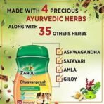 Zandu Chyawanprash Avaleha- 450g | Improves Respiratory and Digestive Health, Boosts Strength and Stamina, 2X Immunity | Enriched with 39 Vital Ayurvedic Herbs like Amla, Asvagandha, - Fast UK Delivery - Image 5
