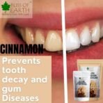 Bliss of Earth 100gm Ceylon Cinnamon (Dalchini) 5" Cut Sticks True Cinnamon Raw From Sri Lanka Original Great for Cooking and Health - Fast UK Delivery - Image 7