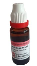 Dr Reckeweg Ashwagandha Q Homoeopathic Madicine 20 Ml Pack Of 2 (Ashwagandha Q-2) - Tablet - Fast UK Delivery