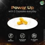 Zandu Shilajit Gold Plus| Scientifically tested advanced formula| Made using 100% Pure Himalayan Shilajit, Gold & 9 Ayurvedic herbs |Enhances strength, stamina, vigour, vitality and power | 20 Caps - Fast UK Delivery - Image 8