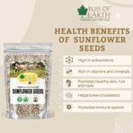 Bliss of Earth Dehulled Sunflower Seeds 200gm for Eating & Weight Loss, Naturally Organic Superfood - Fast UK Delivery - Image 4