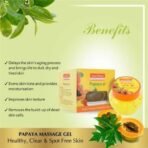 Panchvati Herbals Papaya Massage Gel Hydrates The Skin Removes Dead Skin Cells 100 Ml, Pack Of-2 - Image 4