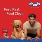 Drools Adult Wet Dog Food, Real Chicken and Chicken Liver Chunks in Gravy, 24 Packs (150g X 24) - Fast UK Delivery - Image 5