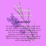 Tassyam Lush Lavender Buds Herbal Tea 50g | Premium Tisanes - Fast UK Delivery - Image 3