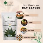 Bliss of Earth Certified Organic Indian Bay Leaves With Zero Pin Holes & Zero Dust, A1 Grade Tej Patta With Uniform Green Color, 50gm - Fast UK Delivery - Image 4