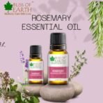 Bliss of Earth ROSEMARY Essential Oil Premium 100% Pure & Natural therapeutic Grade ideal for Aromatherapy 10ml - Fast UK Delivery - Image 4