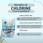 Bliss of Earth Japanese Chlorine Powder for Pool, Clean & Clear Swimming Pool, Kills Bacteria & Stops Algae, Pool Disinfectant Granular Chlorine, 453g - Fast UK Delivery - Image 3