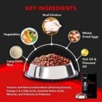 Drools Adult Wet Dog Food, Real Chicken and Chicken Liver Chunks in Gravy, 15 Pouches (15 x 150g)+ Drools Focus Puppy Super Premium Dog Food (1.2Kg),1.2 g (Pack of 1) - Fast UK Delivery - Image 4