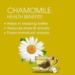 Teabox Chamomile Green Tea for Stress Relief & Good Sleep, 50 Silken Pyramid Tea Bags & Teabox Green Tea Sampler Bags 20pcs (2pcs X 10 flavors) - Fast UK Delivery - Image 5