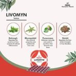 Charak Pharma Livomyn Tablet for Liver support and detox - 30 Tablets (Pack of 3) - Fast UK Delivery - Image 3
