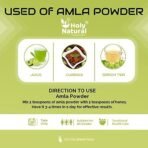 Holy Natural Amla Powder - 500 GM | Amla Also Called Phyllanthus emblica, and Indian Gooseberry. | Rich Source of Vitamin C | Edible Grade, Also use in Skin and Hair Care. - Image 6