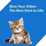 Drools Kitten (1-12 Months) Dry Cat Food, Ocean Fish, 400g - Fast UK Delivery - Image 4