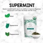 Tea Treasure Supermint Herbal Tea 100gm| Supermint Herbal Tea 100gm (100 Cups)| Spearmint Tea for PCOS, PCOD, Acne | High in Vitamin A | Rich in Antioxidants | Helps Reduce Stress | Improve Memory - Fast UK Delivery - Image 6