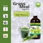 BASIC AYURVEDA Wheat Grass Meal (Sugar-Free) Juice 500 Ml Organic 100% Natural & Pure Herbal Ayurvedic Drink | One Solution To Many Health Benefits | First Press Virgin Juice | Pleasent Natural Taste - Fast UK Delivery - Image 5