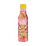 Society Iced Tea| Ginger Cinnamon Bergamot | 250 ml | Freshly Brewed - Fast Shipping to USA & Canada