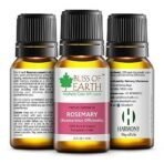 Bliss of Earth ROSEMARY Essential Oil Premium 100% Pure & Natural therapeutic Grade ideal for Aromatherapy 10ml - Fast UK Delivery - Image 2