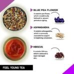 TEACURRY Anti Ageing Tea (1 Months Pack, 30 Tea Bags) - Helps in Wrinkles, Skin Glow, Hair Care, Premature Ageing - Anti Ageing Tea for Women - Herbal Tea for Skin - Feel Young Tea - Fast Shipping to USA & Canada - Image 3