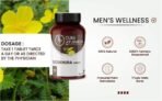 Cura Ayurveda Goskhura Tablets for Men | Natural Support for Male Wellness | Immune System Boost - 60 Tablets Pack - Fast UK Delivery - Image 5