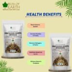 Bliss of Earth Shatavari Root Whole Organic Asparagus Racemosus 100% Natural & Non GMO Good for Immunity & Digestion 100gm - Fast UK Delivery - Image 4