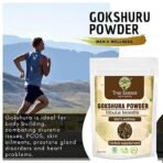 Heera Ayurvedic Research Foundation Gokshura Powder|Tribulus Terrestris 400Gm (pack of2) - Fast Shipping to USA - Image 5