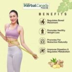 HERBAL CANADA Fat Reducer Awla Tonic, 500ml (Pack of 2) - Fast UK Delivery - Image 7