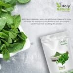 Holy Natural Mint powder (100gm), (Pudina powder), Super food & Healthy, Use for Drink, Juice & Sprinkle on Dishes. - Fast UK Delivery - Image 7