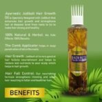 Panchvati Herbals Jadibuti Hair Oil With Comb Applicator 200 Ml, For Hair Fall Control & Hair Growth I Ayurvedic & Natural I For Men & Women - Fast UK Delivery - Image 4