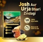 Zandu Vigorex Shilajit Gold - 12 Capsules - Fast UK Delivery - Image 4