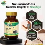 Zandu Shilajit Capsules, Infused with Goodness of Natural Shilajit Extracts, Helps Boost Immunity & Energy, Supports Metabolism - 60 Vegetarian Capsules - Fast UK Delivery - Image 4