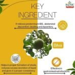 Sandu Bilagyl | Best Ayurvedic Medicine for Diarrhea due to IBS (250 g paste) - Fast UK Delivery - Image 4