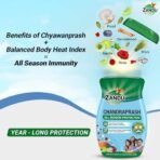 Zandu Chandraprash 900g | 2X Immunity Booster without Heat, All Season Protection Chyawanprash |Blend of 37 Ingredients | Made with Jaggery, No Added Refined Sugar - Fast UK Delivery - Image 4
