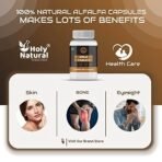 Holy Natural Amla Tablet - 120 tab | Indian Gooseberry, Amlakai | Dietary Supplement, Rich Source of Vitamin C | Help in Immunity Boost & Improve Digestion health - Image 7