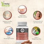 Holy Natural Ceylon Cinnamon Capsules - 120 Capsules (600mg /Cap) - Image 7