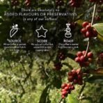 Blue Tokai Coffee Roasters Blue Tokai Coffee Assorted Sampler Pack Vienna Dark Roast, Attikan Medium And Silver Oak | Moka Pot | 100% Arabica Ground Coffee Packet (75Gm Each, Pack Of 3) - Fast UK Delivery - Image 5