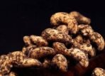 Leeve Dry Fruits Black Pepper Flavour Cashew, 800g - Fast UK Delivery - Image 5