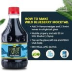 Dhampurgreen Assorted Mocktail Syrups - Blueberry, Kerala Pineapple, Jeera Masala Shikanji, Fruit Beer Flavoured Syrups - 1.2Ltr (4 X 300Ml) | Makes 12-15 Drinks Per Bottle - Fast UK Delivery - Image 7