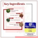 AIMIL Amlycure D.S. Capsule for Total Liver Support| Cleanse and Detox| Protects Cells & Enzymes| 20 Capsules (Pack of 2) - Fast UK Delivery - Image 4