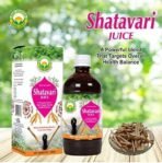 BASIC AYURVEDA Shatavari Juice 450 Ml | Certified Organic 100% Natural & Pure Drink | One Of Nature's Most Perfect Nutrient Beverages | Pleasent Natural Taste | A Powerful Blend That Targets Overall Health Balance - Fast UK Delivery - Image 3