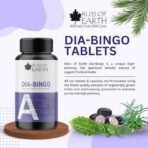 Bliss of Earth Sugar Control Tablets To Manage Blood Sugar Levels Naturally, 60 Tablets With Bitter Melon, Jamum, Gurmar, Bimba & Bijasar, Diabetic Care - Fast UK Delivery - Image 4