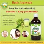 Basic Ayurveda Amla Juice GooseBerry 1L Rich Source of Vitamin C Ayurvedic juice - Fast UK Delivery - Image 7