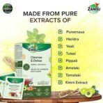 Zandu Cleanse & Detox Herbal Infusion: Use This Tea Bag to Give Your Body the Gift of Good Health |Helps Improve Skin Glow & Detoxifies the Body | Supports Holistic Health(25 Tea bags) - Image 7