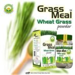 BASIC AYURVEDA Grass Meal (Wheat Grass) Powder 50g | Ayurvedic Supplements for Immunity & Blood Purifier | - Fast UK Delivery - Image 3