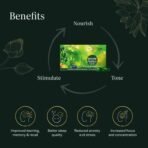 Kerala Ayurveda Brahmi Pearls for Mental Wellness - 40 Capsules | Promotes Brain Relaxation | Sharpens Mind | Supports Memory Retention & Concentration | Stress Relief & Better Sleep (Pack of 3) - Fast UK Delivery - Image 5