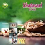 BASIC AYURVEDA Shatavari Juice 450 Ml | Certified Organic 100% Natural & Pure Drink | One Of Nature's Most Perfect Nutrient Beverages | Pleasent Natural Taste | A Powerful Blend That Targets Overall Health Balance - Fast UK Delivery - Image 5