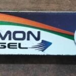 Dhanvantari Rumon Gel 25Gm - Fast UK Delivery